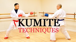 10 ULTIMATE KUMITE TECHNIQUES 🥋⛩ [upl. by Aluap151]