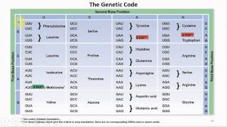 Chapter 08 Microbial Genetics and Genetic Engineering  Cowan  Dr Mark Jolley [upl. by Bindman]