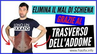 Trasverso delladdome  Il muscolo che elimina il mal di schiena [upl. by Nnylharas163]