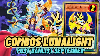 COMBOS LUNALIGHT POST BANLIST YUGIOH SEPTEMBER 2024 [upl. by Etnoid]