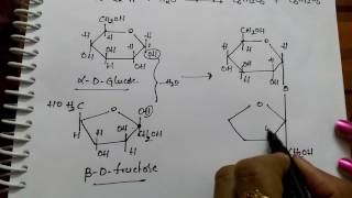 Disachharides Sucrose Maltose and Lactose Chemistry [upl. by Pazice]