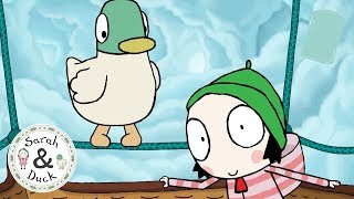 Sarah and Duck Official  20 mins  Full Episodes 13 [upl. by Ahsatak10]