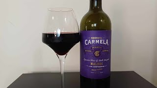 0530  Vinho Durigutti Carmela Reserva Malbec 2019 vinho vino wine [upl. by Ecidna]