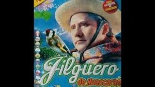 ▐░ ▒ Jilguero del HuascaránÉxitos de Oro Parte V Inmortal e Inigualable 82109▐░ ▒ [upl. by Keverne987]