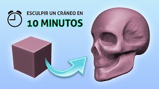 Esculpiendo un cráneo en 10 minutos con Blender [upl. by Blodget846]