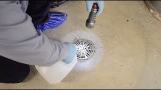 How to Get Rid of Drain Flies  RotoRooter [upl. by Edrick]