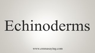 How To Say Echinoderms [upl. by Ellainad]