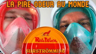 SURSTRÖMMING  La Pire Odeur Du Monde ☣️ On Relève Le Défi du HARENG Fermenté Suédois [upl. by Stiegler]