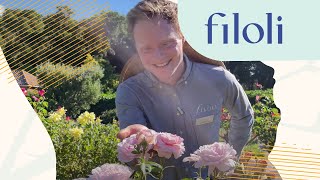 Rose Tour amp Gardening Tips  Filoli [upl. by Galina]