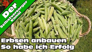 Erbsen erfolgreich anbauen [upl. by Lleynod]