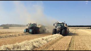 Pressage de paille en broyée  FENDT 930 amp 939 black beauty  KRONE 1290HDP  ETA La Louvière [upl. by Eohce]