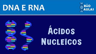 Estrutura dos Ácidos Nucleicos DNA e RNA  Bioquímica Bio Aulas [upl. by Atthia]