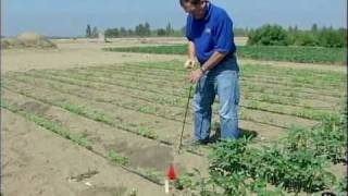 Pocket Gopher  Finding Tunnel Systems [upl. by Larson]