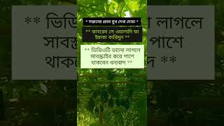 সন্তানের  মুখ  দেখা  দোয়া  🕋🤲🕋  please subscribe 🙏 [upl. by Eisyak]