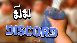 ส่องมีม หนูตัวนี้ทำอาหารเก่งที่สุดในโลก  Discord meme review [upl. by Amal]