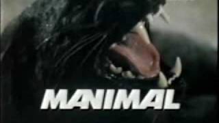 Manimal  abertura brasileira [upl. by Eirrol]