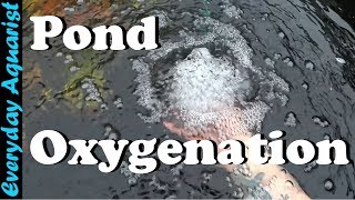 How To Aerate amp Oxygenate Your Pond [upl. by Irrot]