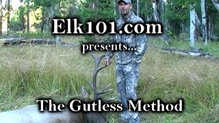 Elk101coms Gutless Method for Field Processing an Elk [upl. by Magdalene]