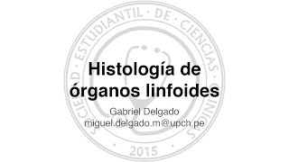 Histología de órganos linfoides [upl. by Myrle]