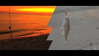 EP10 Panama City Beach Surf Fishing [upl. by Proctor667]