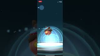 Event Pumpkaboo trade in pokemongo [upl. by Sutelc]