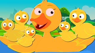 Five Little Ducks  Nursery Rhymes And Kids Song For Children [upl. by Jovita]