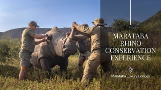 The Marataba Rhino Conservation Experience [upl. by Shaia589]