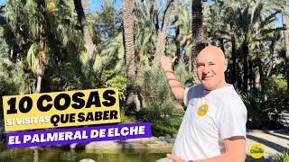 10 COSAS QUE SABER SI VISITAS EL PALMERAL DE ELCHE elche patrimoniodelahumanidad iphone14promax [upl. by Eoz]