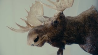 Chris Webby  Moose Head Official Video [upl. by Middendorf]