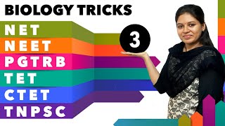 Easy trick to remember stages of cell cycle and prophase 1 [upl. by Adeys]