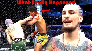 SUGA SHOW What Really Happened Raulian Paiva vs Sean OMalley [upl. by Riek947]