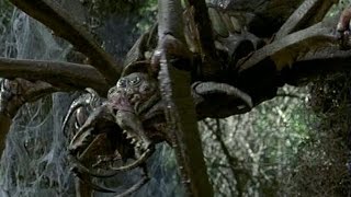 Arachnid Trailer español [upl. by Pruter]