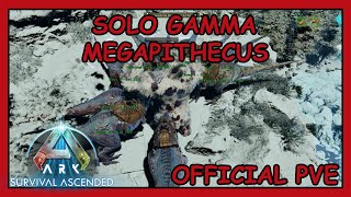 ARK ASCENDED  SOLO GAMMA MEGAPITHECUS  PVE OFFICIAL [upl. by Nahtaj]