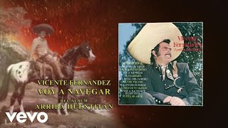 Vicente Fernández  Voy a Navegar Cover Audio [upl. by Harikahs]