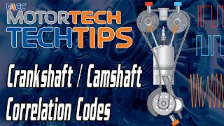 Crankshaft Camshaft Correlation Codes P0016 P0017 P0018 and P0019 [upl. by Mariko678]