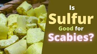 Sulfur for Scabies  Is it Good How to Use Sulfur Ointment to Help with Scabies [upl. by Enilrem]