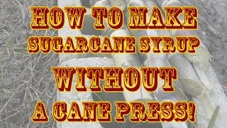 How To Make Sugarcane Syrup WITHOUT a Cane Press [upl. by Mirisola]