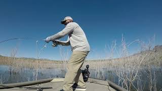 Spring crappie fishing Lake Roosevelt Arizona [upl. by Huntley]