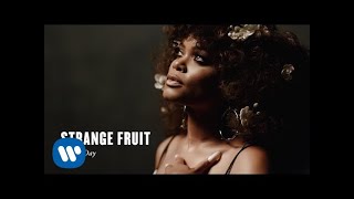 Andra Day  Strange Fruit Official Music Video [upl. by Kassandra135]