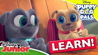 Learning The Countries of the World 🌍  Puppy Dog Pals  Disney Junior Arabia [upl. by Llednahc]