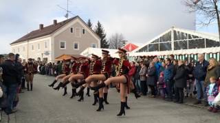 Faschingszug 2017 in Hartkirchen  pnpde [upl. by Mcgaw]