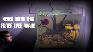 3 Reasons I Went Filterless on my Beta Aquarium  Oase FiltoSmart 60 Review [upl. by Lenwood]