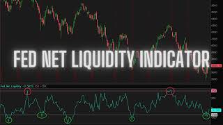 Fed Net Liquidity Indicator for ThinkorSwim [upl. by Ahsircal]