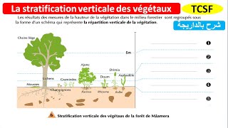 La stratification verticale des végétaux شرح بالداريجة SVT TCSF [upl. by Aryhs]