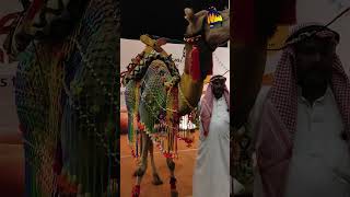 Arabian Food Festival Poppys Hotel Madurai [upl. by Rivkah]