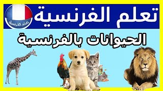 اسماء الحيوانات بالفرنسية بالصوت و الصور [upl. by Fabian]