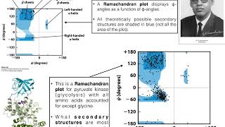 How to Interpret Ramachandran Plots [upl. by Areis]