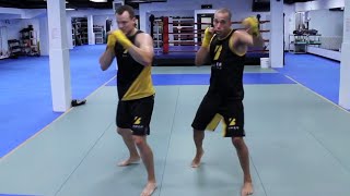 Beginner Friendly 20 Minute Boxing Workout at Home without any Equipment 2022 [upl. by Laise922]