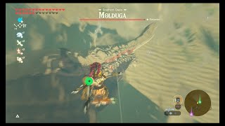 Molduga Locations Including Molduking  BOTW  Picture Frames Games [upl. by Asaph]