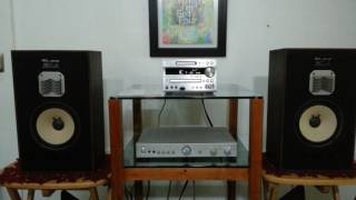 BOCINAS AKAI SW 127 [upl. by Nagle607]